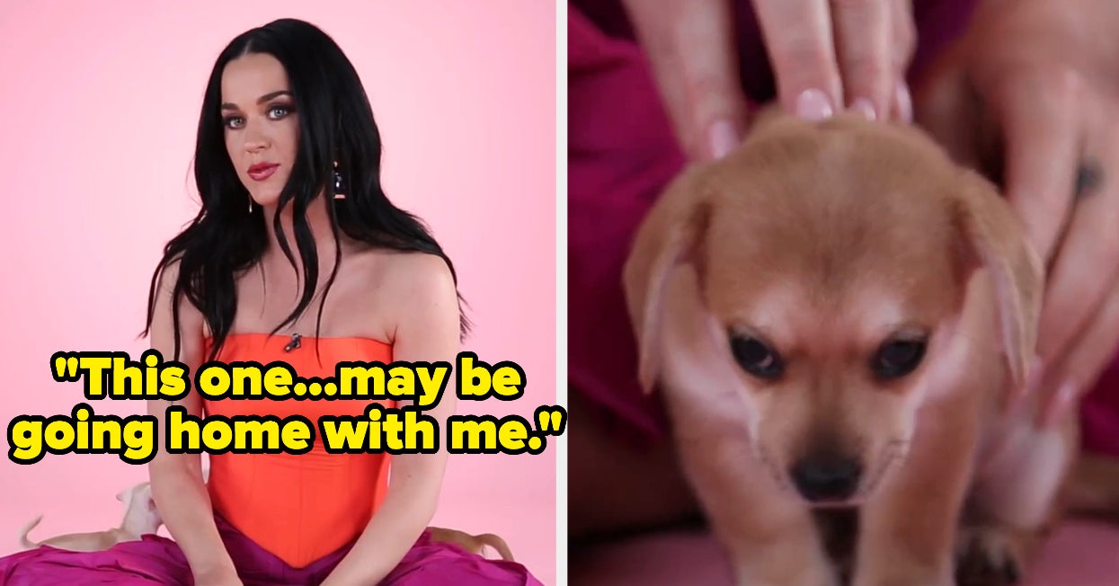 Katy Perry Puppy Interview